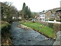 Afon Colwyn at Beddgelert in spring