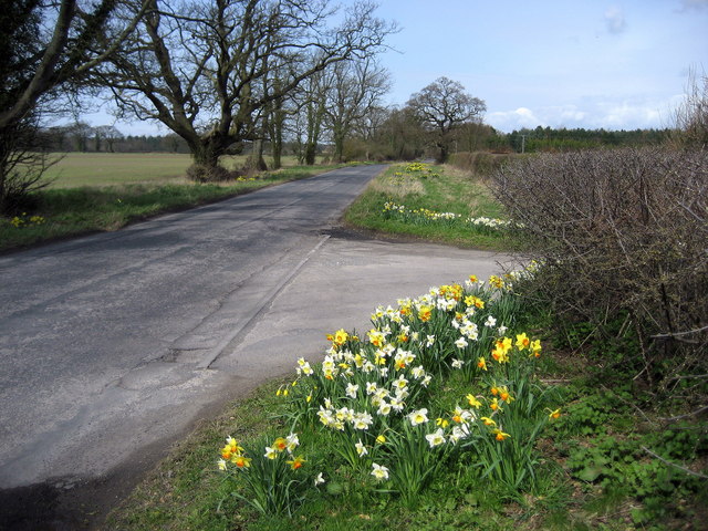 Buttercrambe Road