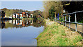 The River Lagan at Annadale, Belfast  (1)