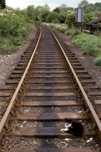 No Trains Today © Peter Kazmierczak :: Geograph Britain and Ireland