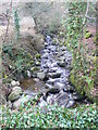 Afon Sychnant near Melin-y-Coed