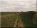 Bridleway to Larkey Valley Wood