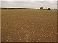 Footpath to Nackington Road