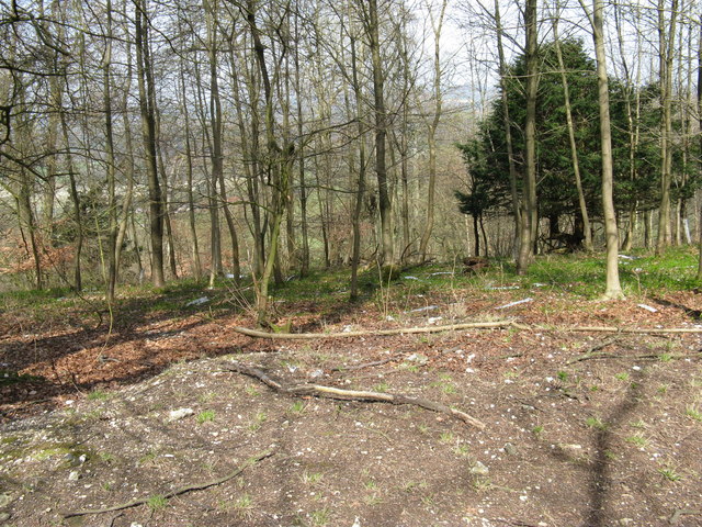 Displaced tree guards near the top of Graffham Down