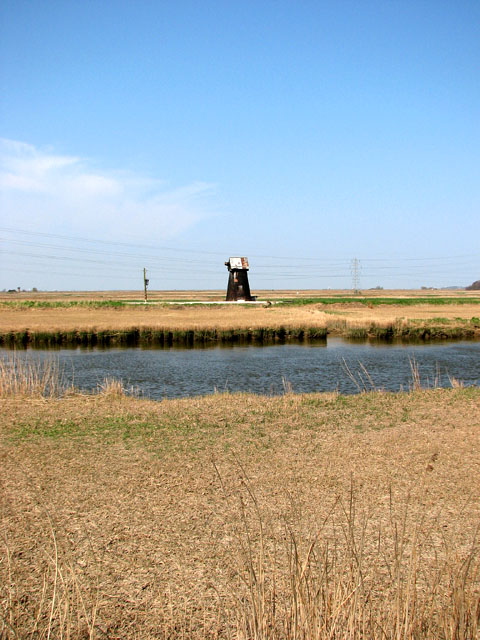View towards Fritton Marshes drainage mill