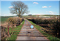 Access road to Ogbourne Pumping Station