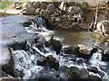 Top of The Cascade, Virginia Water