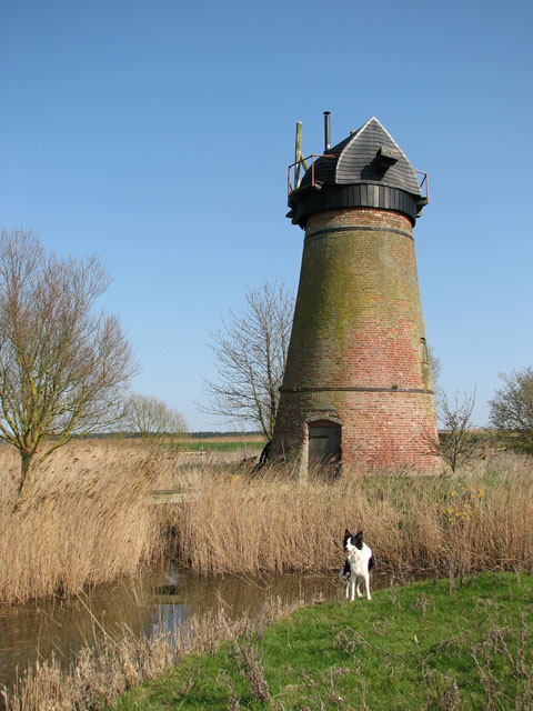 Toft Monks drainage mill in the Fritton Marshes
