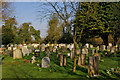 Graveyard, St Martin of Tours Church