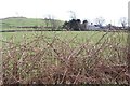 Murcyplau Farm and the slopes of Carn Pentyrch