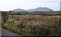 Reclaimed pasture land on the edge of the valley floor wetland