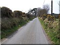 The Sardis road east of Bryn-graianog