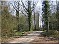 Lane to Steelworks and Steelworks Farm