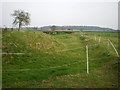 Remains of the moat at Old Park