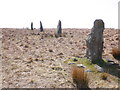SX6362 : Row of standing stones, on Stalldown Barrow by Roger Cornfoot