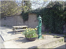 O1360 : Village Pump, The Naul, Co Dublin by C O'Flanagan