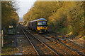 Approaching Betchworth Station