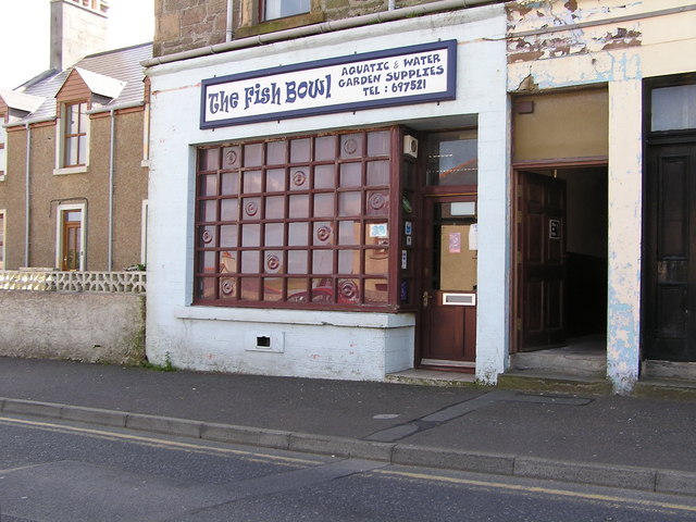The Fish Bowl, Commercial Road