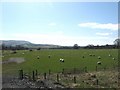 Grazing land near Langshawburn House