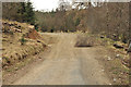 Forestry road near Castletown