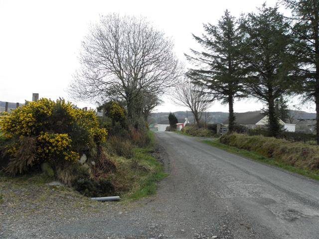 Road at Carrowtrasna