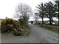 C0618 : Road at Carrowtrasna by Kenneth  Allen