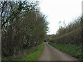 Start of the back lane between Slate Lane and Woollard