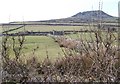 The ruins of Tyddyn Hir