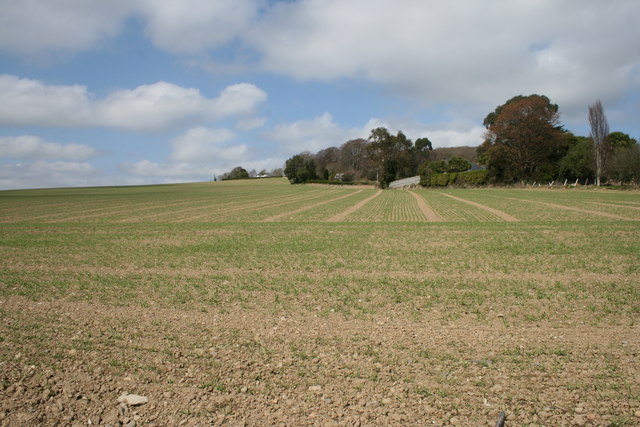 Tillage in County Wicklow