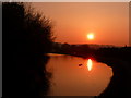 Tiverton : The Grand Western Canal