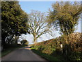 SY0097 : Minor road passes Newlands by Roger Cornfoot