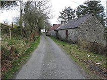 C1516 : Road at Ballynascaddan by Kenneth  Allen
