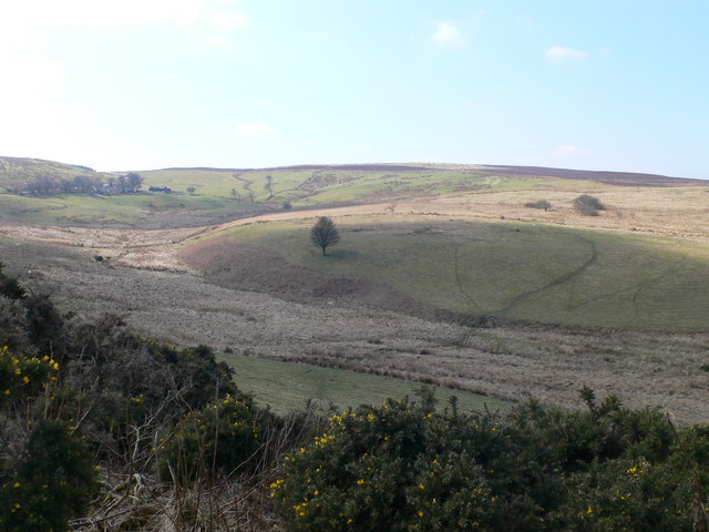 Denbigh Moors © Eirian Evans cc-by-sa/2.0 :: Geograph Britain and Ireland