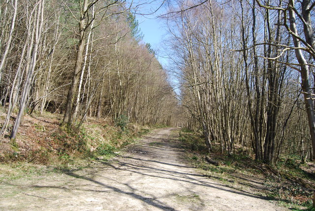 High Weald Landscape Trail, Angley Wood... © N Chadwick :: Geograph ...