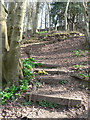 Wooden faced steps