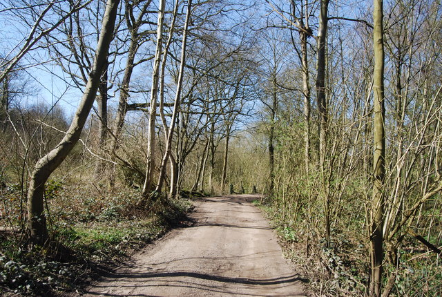 High Weald Landscape Trail near the edge... © N Chadwick :: Geograph ...