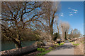 Path beside the River Taff -  Llandaff North