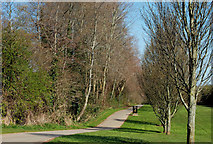 J3874 : Path and trees, Belmont Park, Belfast by Albert Bridge
