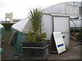 Polytunnels, Leasowes Garden Nursery