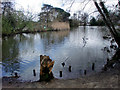 Lake, Oakmere Park, Potters Bar, Hertfordshire