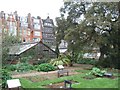 Chelsea Physic Garden