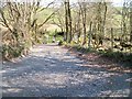 Track leading to the Braich-y-saint road