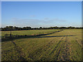 Farmland, Winnersh