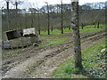 Cornish Cyder Farm orchard.