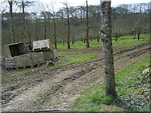 SW7750 : Cornish Cyder Farm orchard. by Colin Pyle