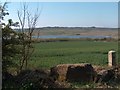 View from Trans-Pennine Trail at Treeton towards Woodhouse