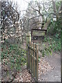 Entrance to the church at West Lavington