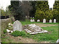 Spring in the churchyard at St Peter, Lodsworth (3)