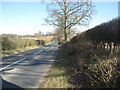 Road leading to Ancrum in the Scottish Borders