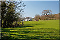 Pasture - Llancarfan